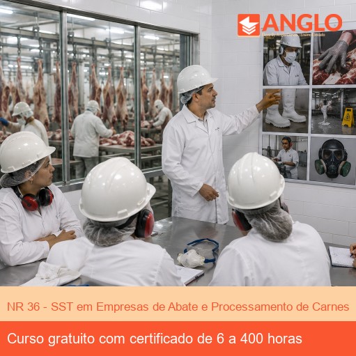 NR 36 - SST em Empresas de Abate e Processamento de Carnes